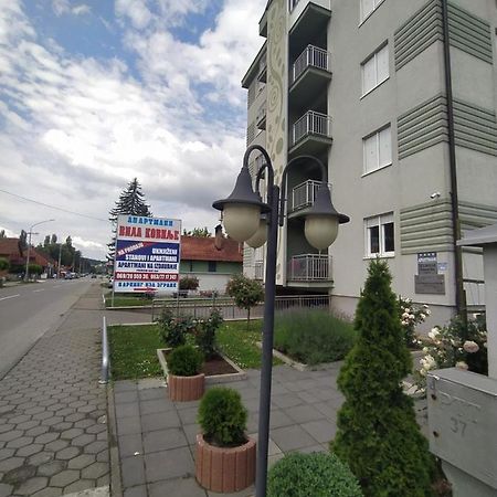 Apartmani - Vila Kovilje Banja Koviljača Eksteriør billede