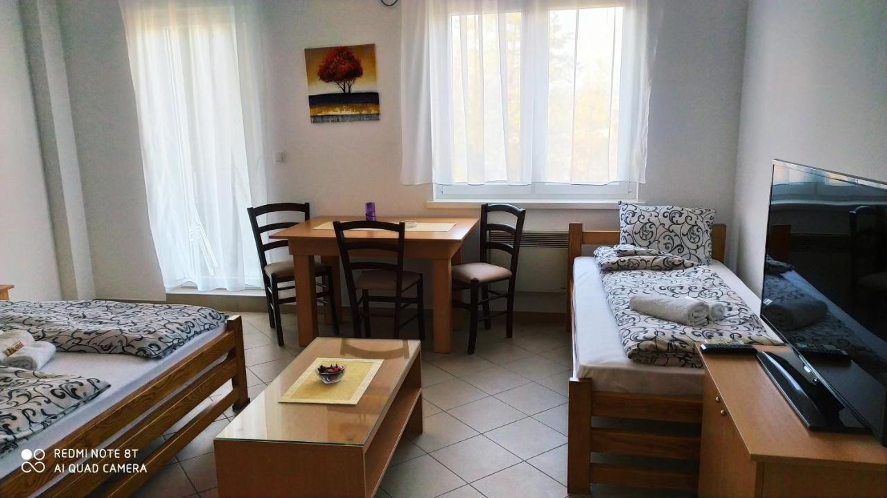 Apartmani - Vila Kovilje Banja Koviljača Eksteriør billede