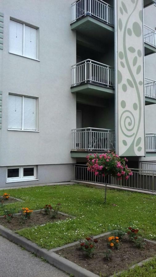 Apartmani - Vila Kovilje Banja Koviljača Eksteriør billede