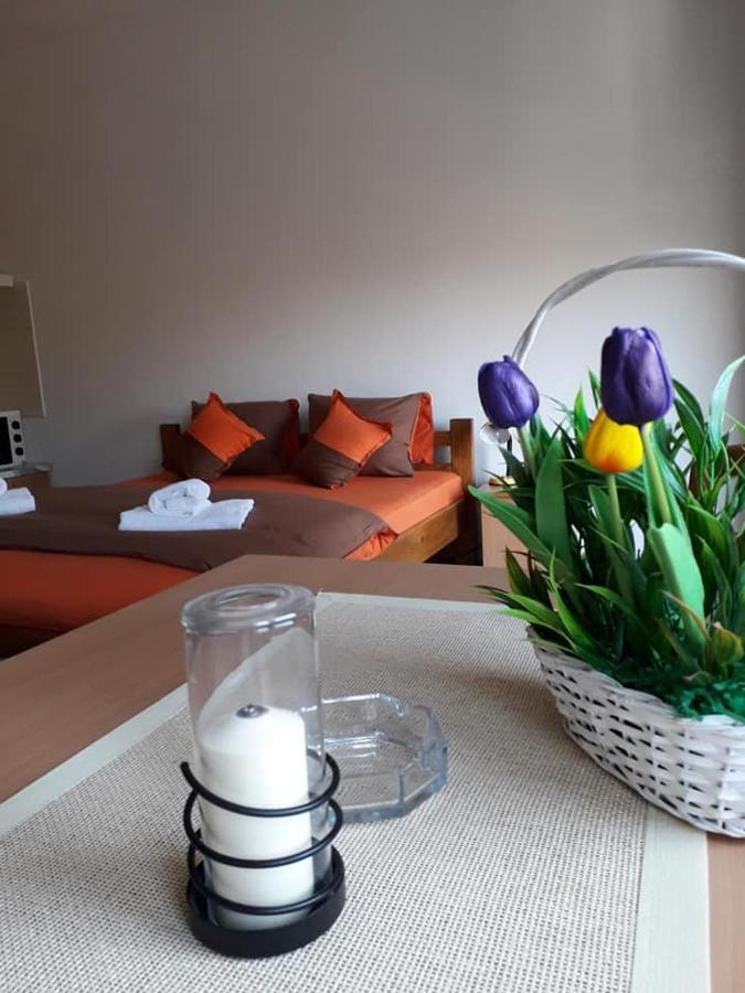 Apartmani - Vila Kovilje Banja Koviljača Eksteriør billede